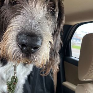 Meet your Posher, Connie